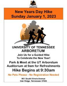 Flyer for New Year's Day Hike